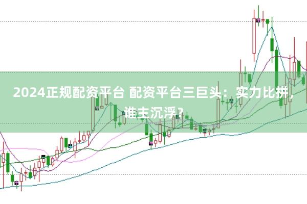 2024正规配资平台 配资平台三巨头：实力比拼，谁主沉浮？
