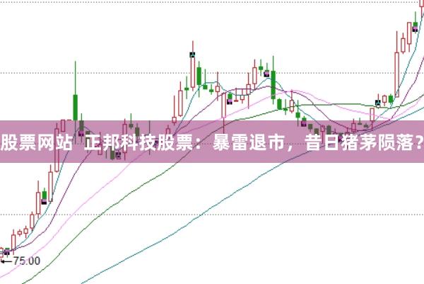 股票网站  正邦科技股票：暴雷退市，昔日猪茅陨落？