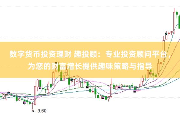 数字货币投资理财 趣投顾：专业投资顾问平台，为您的财富增长提供趣味策略与指导