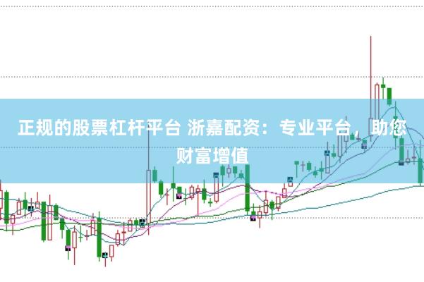 正规的股票杠杆平台 浙嘉配资：专业平台，助您财富增值