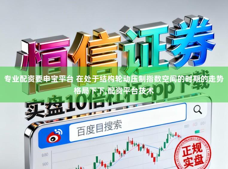 专业配资要申宝平台 在处于结构轮动压制指数空间的时期的走势格局下下,配资平台技术