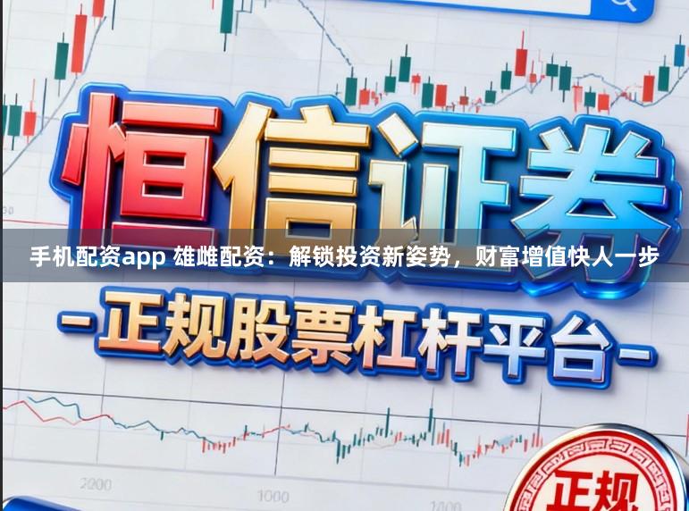 手机配资app 雄雌配资：解锁投资新姿势，财富增值快人一步